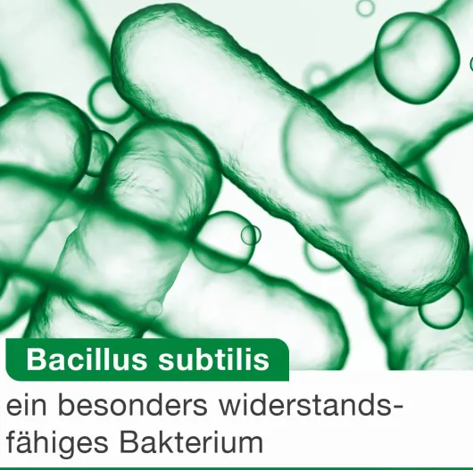 Bioticloges Subtilis 15 Kapseln