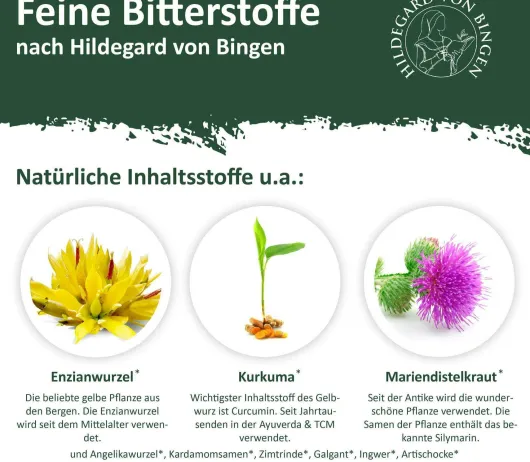 Bitterkraft Original Bitterstoffe Tropfen 100 ml