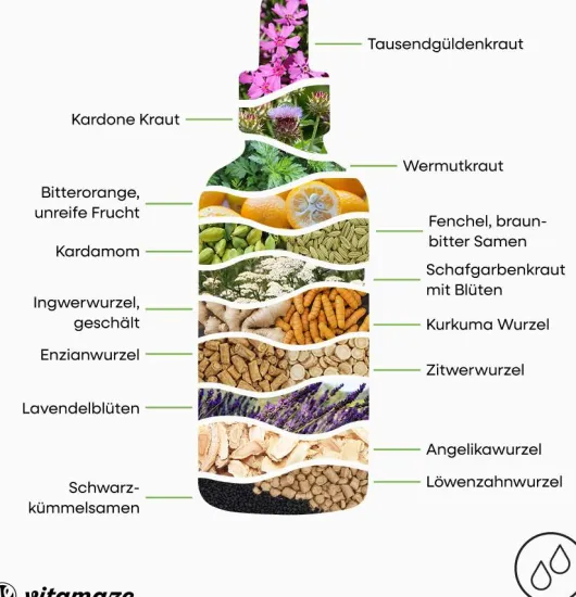 Bitter Tropfen 15 Kräuter + Cholin ohne Alkohol 50 ml