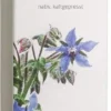 Borretschöl Bio 100 ml