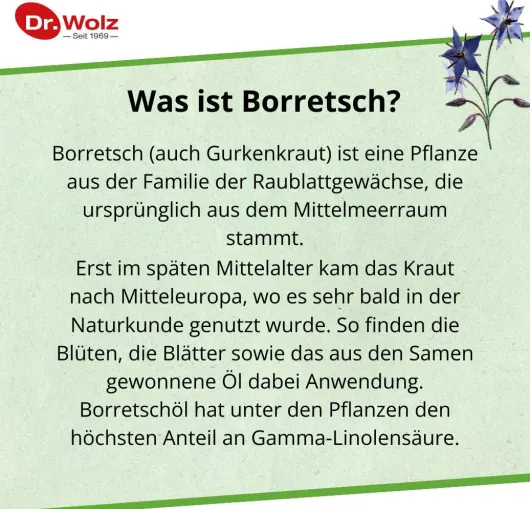 Borretschöl Kapseln Dr.Wolz 60 Stück
