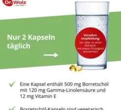 Borretschöl Kapseln Dr.Wolz 60 Stück