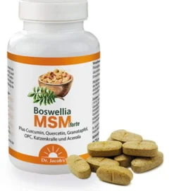 Boswellia Msm Forte Dr.Jacob s 90 Tabletten