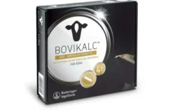 Bovikalc Bolus vet. 4 Kapseln