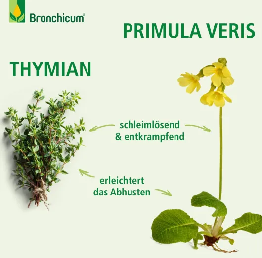 Bronchicum Elixir 250 ml Flüssigkeit