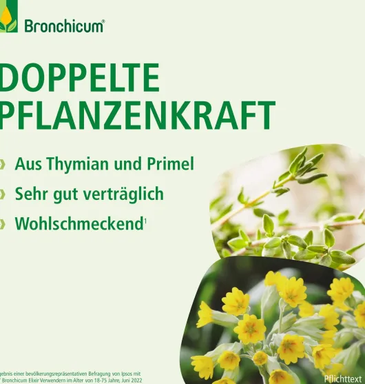 Bronchicum Elixir 250 ml Flüssigkeit