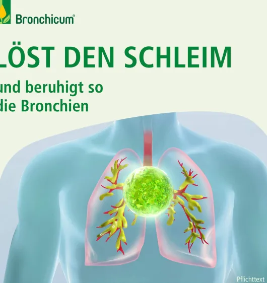 Bronchicum Thymian Hustensaft 200 ml
