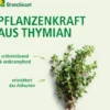 Bronchicum Thymian 20 Lutschtabletten