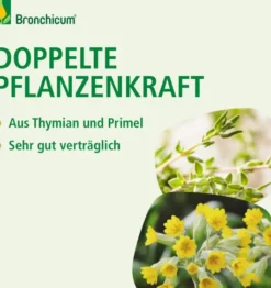 Bronchicum Tropfen 50 ml