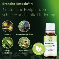 Broncho Entoxin N 20 ml Tropfen