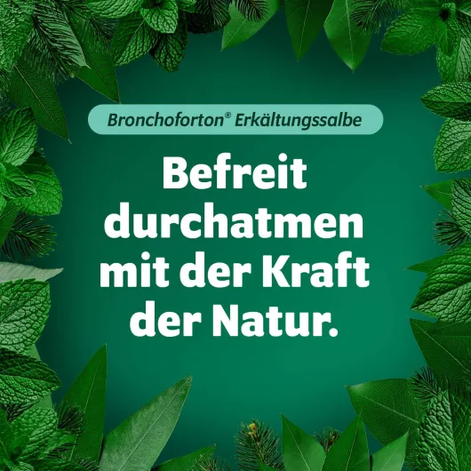 Bronchoforton Salbe 100 g