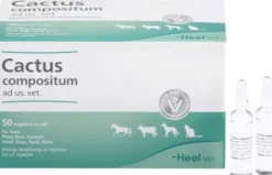 Cactus Compositum vet. 50 Ampullen