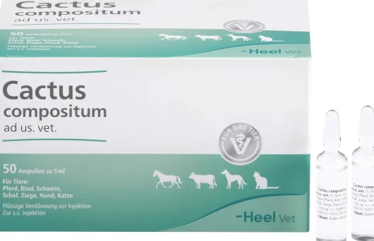 Cactus Compositum vet. 50 Ampullen