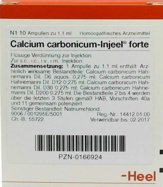 Calcium Carbonicum Injeele Forte 1,1 ml 10 Ampullen