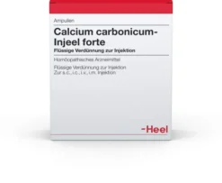 Calcium Carbonicum Injeele Forte 1,1 ml 10 Ampullen