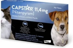 Capstar 11,4 mg für Katzen und kleine Hunde 6 Tabletten