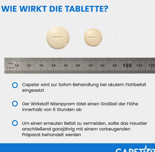 Capstar 11,4 mg für Katzen und kleine Hunde 6 Tabletten