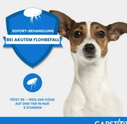 Capstar 11,4 mg für Katzen und kleine Hunde 6 Tabletten