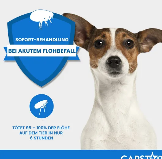 Capstar 11,4 mg für Katzen und kleine Hunde 6 Tabletten