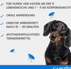 Capstar 11,4 mg für Katzen und kleine Hunde 6 Tabletten