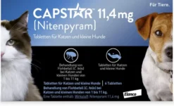 Capstar 11,4 mg für Katzen und kleine Hunde 6 Tabletten
