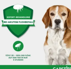 Capstar 57 mg Tabletten für große Hunde 6 Tabletten