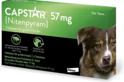 Capstar 57 mg Tabletten für große Hunde 6 Tabletten
