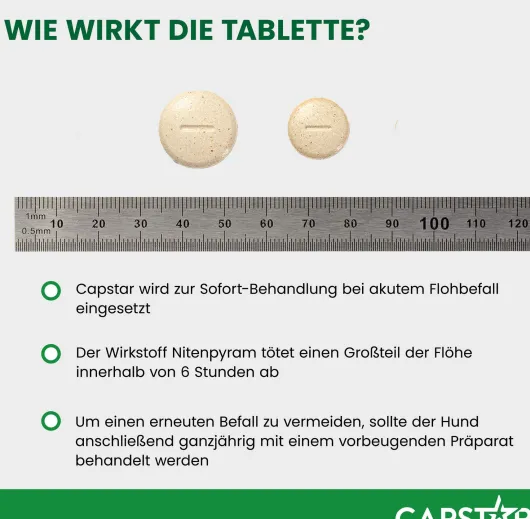 Capstar 57 mg Tabletten für große Hunde 6 Tabletten