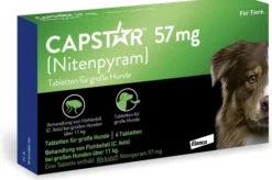 Capstar 57 mg Tabletten für große Hunde 6 Tabletten