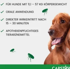 Capstar 57 mg Tabletten für große Hunde 6 Tabletten