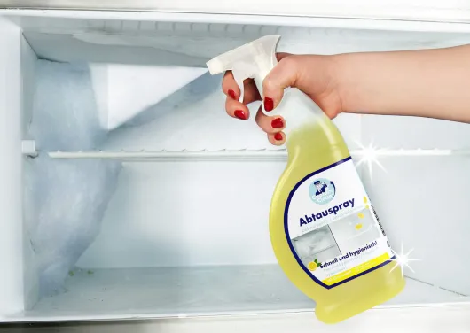 Captain Clean Abtauspray Lemon 650 ml