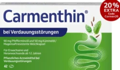 Carmenthin bei Verdauungsstörungen 42 magensaftresistente Weichkapseln