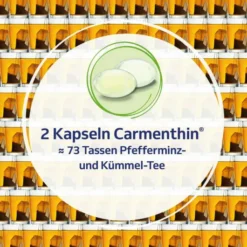 Carmenthin bei Verdauungsstörungen 42 magensaftresistente Weichkapseln