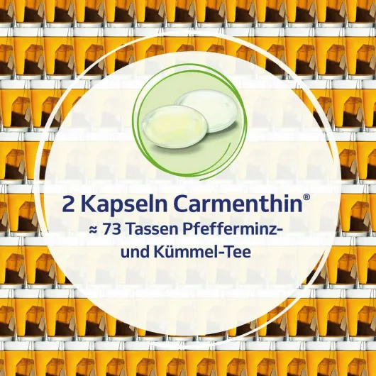 Carmenthin bei Verdauungsstörungen 42 magensaftresistente Weichkapseln