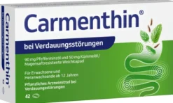 Carmenthin bei Verdauungsstörungen 42 magensaftresistente Weichkapseln