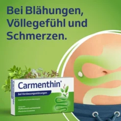 Carmenthin bei Verdauungsstörungen 14 magensaftresistente Weichkapseln