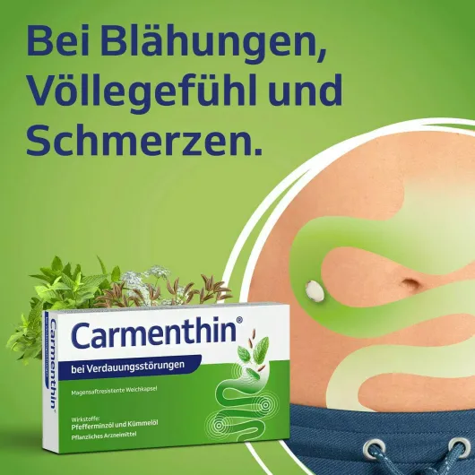 Carmenthin bei Verdauungsstörungen 14 magensaftresistente Weichkapseln