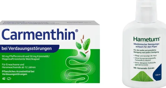 Carmenthin bei Verdauungsstörungen 42 magensaftresistente Weichkapseln + Hametum Medizinischer Reinigungsschaum 100 ml