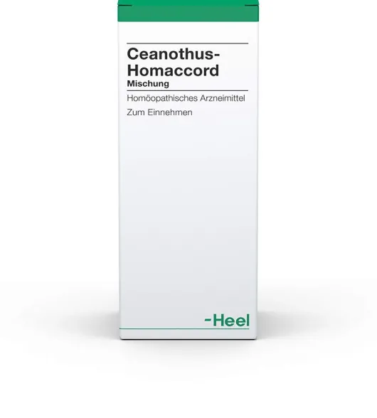 Ceanothus Homaccord Liqiudum 30 ml Tropfen