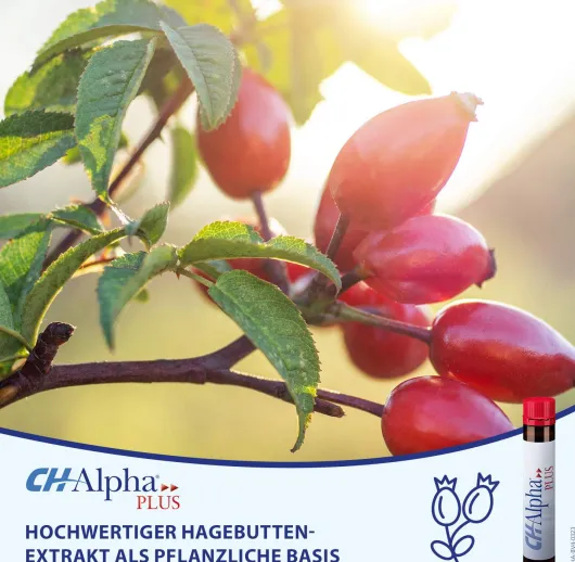 CH Alpha Plus 30 Trinkampullen