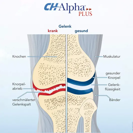 CH Alpha Plus 30 Trinkampullen