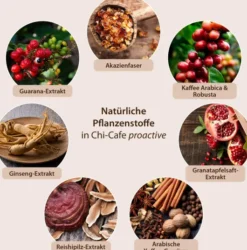 Chi-Cafe Proactive- Wild und Würzig 360g