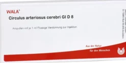 Circulus Arterios. Cer. Gl D 8 Ampullen