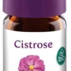 Cistrose Bio 5 ml Öl