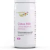 Cistus 500 60 Kapseln