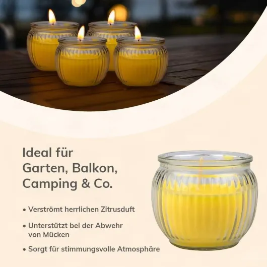 Citronella Kerze im Glas 4er-Set