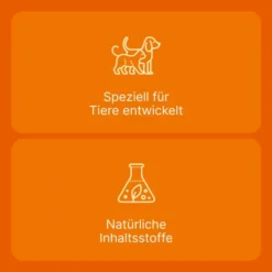 Coenzyme Compositum ad us.vet. 10 Ampullen