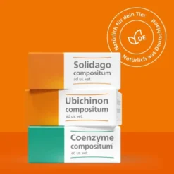 Coenzyme Compositum ad us.vet. 10 Ampullen