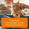 Coenzyme Compositum Ad Us.Vet. 100 Ampullen