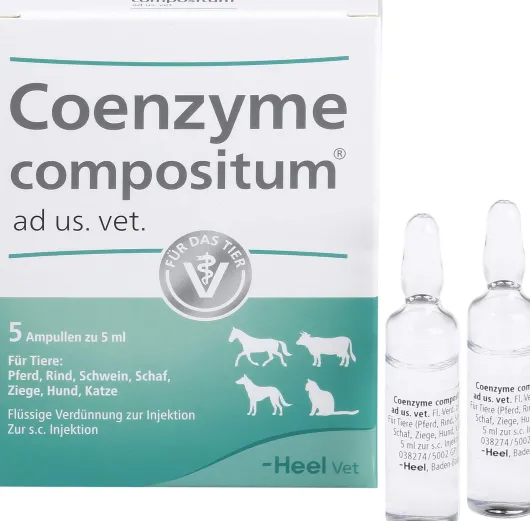 Coenzyme Compositum vet. 5 X 5 ml Ampullen